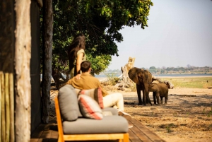 Victoria Falls: 5-Day Zambezi & Chobe National Park Tour