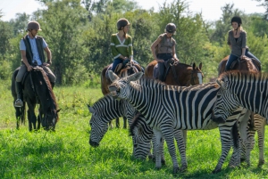 Victoria Falls and Chobe Safari 5 Days Private Vacation