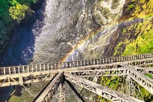 Victoria Falls Bridge: Guidet tur til bro, museum og café