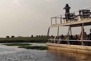 Victoriafälle: Chobe- und Quadripoint-Tagestour mit Mittagessen