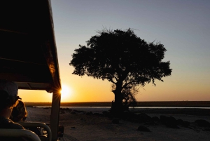 Victoriafälle: Tagestour zum Chobe-Nationalpark mit Mittagessen