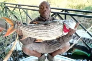 Victoria Falls: Chobe River Tiger Fishing Safari with Lunch