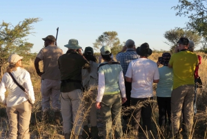 Wodospady Wiktorii, Hwange i Chobe: 7-dniowe safari w przystępnej cenie