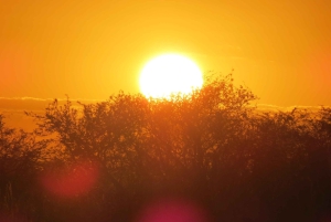 Wodospady Wiktorii, Hwange i Chobe: 7-dniowe safari w przystępnej cenie