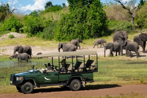 Victoria Falls/Kasane: Chobe National Park Day Trip