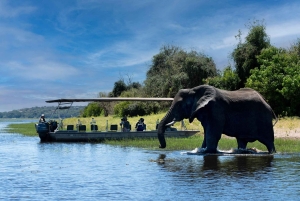 Victoria Falls/Kasane: Chobe National Park Day Trip