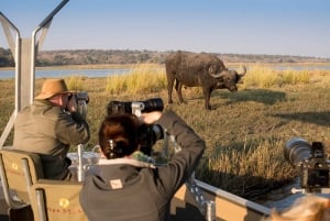 Victoria Falls/Kasane: Chobe National Park Day Trip