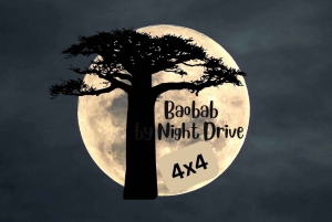 Victoria Falls Park: 4x4 Baobab Night Drive with Flashlight