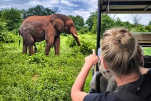 Victoriafallene: Quadripoint og Chobe dagstur med lunsj