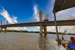 Victoriafallene: Quadripoint og Chobe dagstur med lunsj