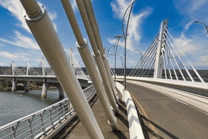 Victoriafallene: Quadripoint og Chobe dagstur med lunsj