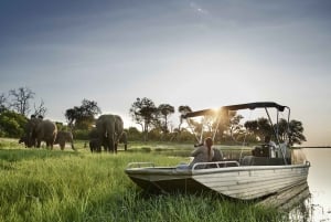 Cataratas Vitória ao Parque Nacional Chobe: Aventura de 1 dia em um safári