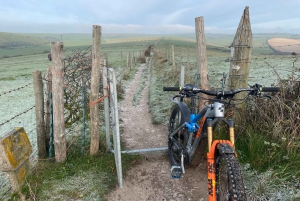 Albourne Estate: Wine Tasting and South Downs eBiking
