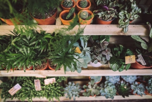 Top Florists