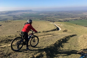 Brighton: Coastline E-Bike Tour
