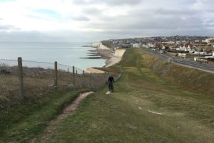 Brighton: Coastline E-Bike Tour