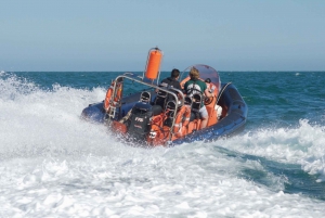 Brighton : Promenade en bateau à moteur