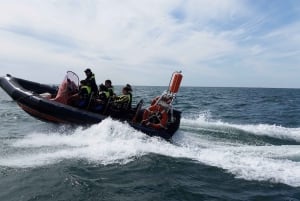 Brighton: Tur i motorbåd