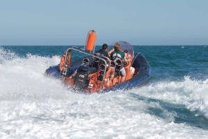 Brighton: Powerboat Ride