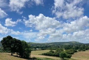 Brighton: Sussex Wine Region Walking Tour with Tastings