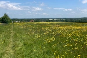 Brighton: Sussex Wine Region Walking Tour with Tastings