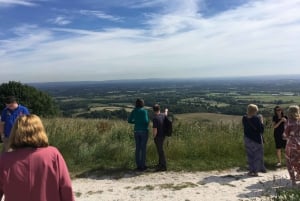 Brighton: Sussex Wine Region Walking Tour with Tastings