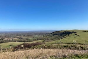 Brighton: Sussex Wine Region Walking Tour with Tastings