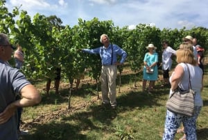 Brighton: Sussex Wine Region Walking Tour with Tastings
