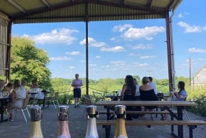 Brighton: Sussex Wine Region Walking Tour with Tastings