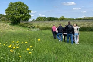 Brighton: Sussex Wine Region Walking Tour with Tastings
