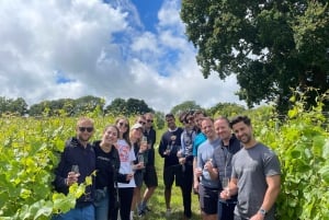 Brighton: Sussex Wine Region Walking Tour with Tastings