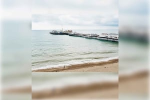 ブライトン：ジップワイヤー体験チケットと送迎