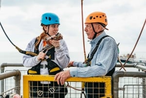 Brighton: Zip Wire Experience billet