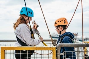 Brighton: Zip Wire Experience billet