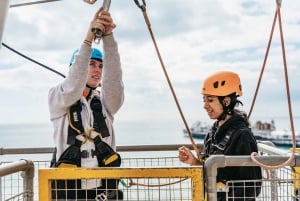 Brighton: Zip Wire Experience billet