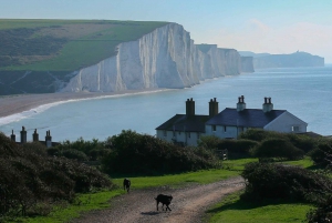 Brighton: Private Tour of White Cliffs & South Downs