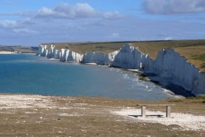 Sussex Vineyard Tour