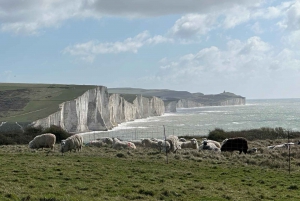 Sussex Vineyard Tour