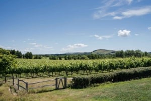 Ebike Tour Albourne Estate: Wine Tasting and Downs eBiking