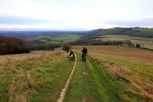 Wycieczka rowerowa eBike po lesie Friston Forest i Seven Sisters