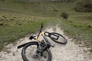 Wycieczka rowerowa eBike po lesie Friston Forest i Seven Sisters