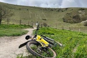 Wycieczka rowerowa eBike po lesie Friston Forest i Seven Sisters