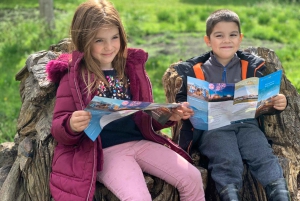 Из Брайтона: поездка на целый день в замок Лидс и Кентербери