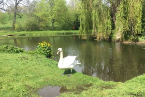 Из Брайтона: поездка на целый день в замок Лидс и Кентербери
