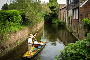 Из Брайтона: поездка на целый день в замок Лидс и Кентербери