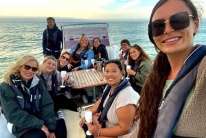 From Brighton: Seven Sisters Boat Tour