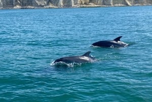 From Brighton: Seven Sisters Boat Tour