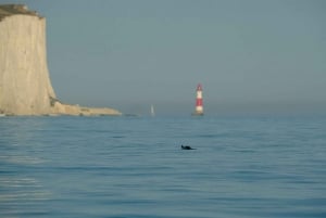 From Brighton: Seven Sisters Boat Tour