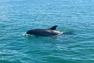 From Brighton: Seven Sisters Boat Tour