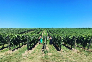 From Brighton: Sussex Wine Tour on a Vintage Bus with Lunch